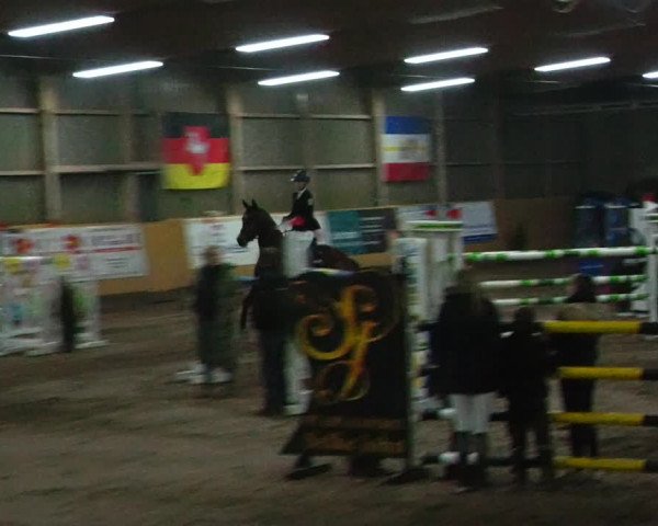 Reitturnier Pausin 2023