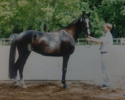 Zuchtstute Salina (Deutsches Sportpferd, 2009, von San Muscadet)