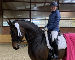 dressage horse Monclaire (Oldenburg, 2016, from Morricone)