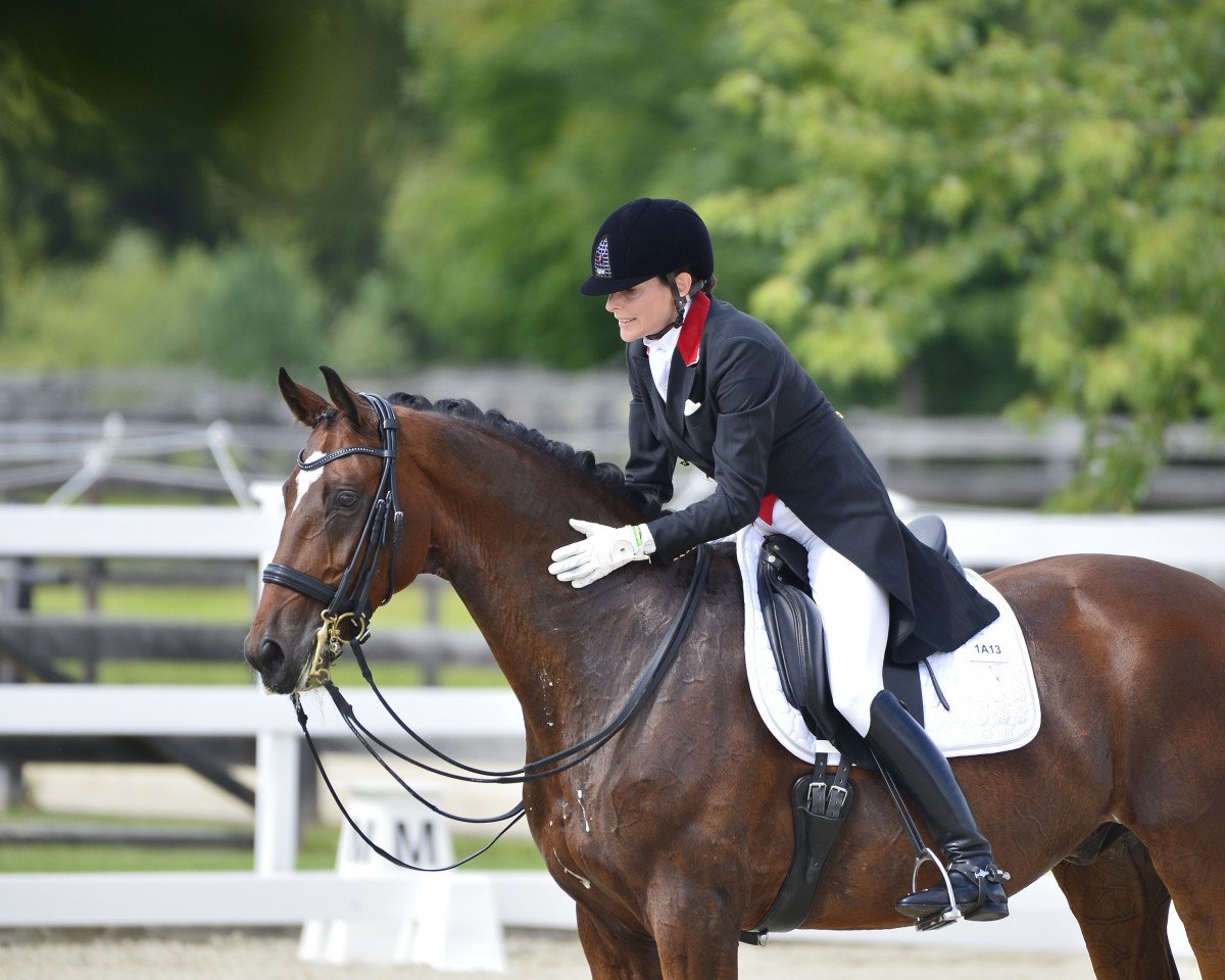 dressage horse Burberry 5 (Hanoverian, 2011, from Bonifatius)