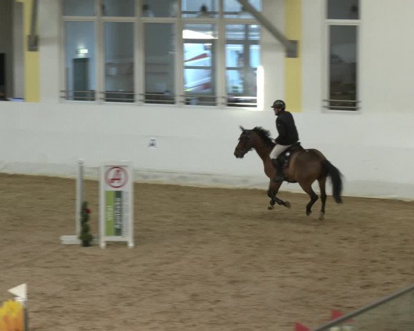 Springturnier Stadl-Paura 2023