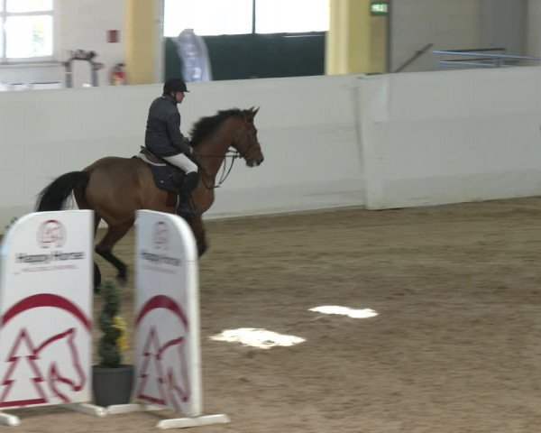 Springturnier Stadl-Paura 2023