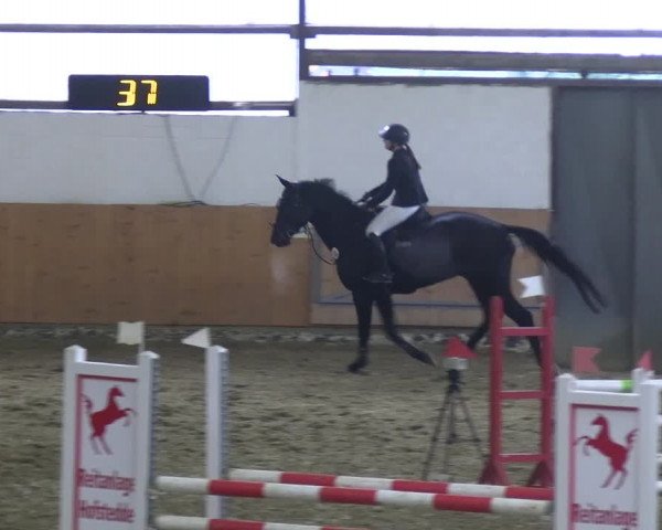 Reitturnier Datteln 2023