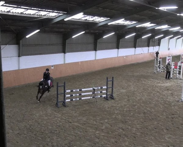 Reitturnier Datteln 2023