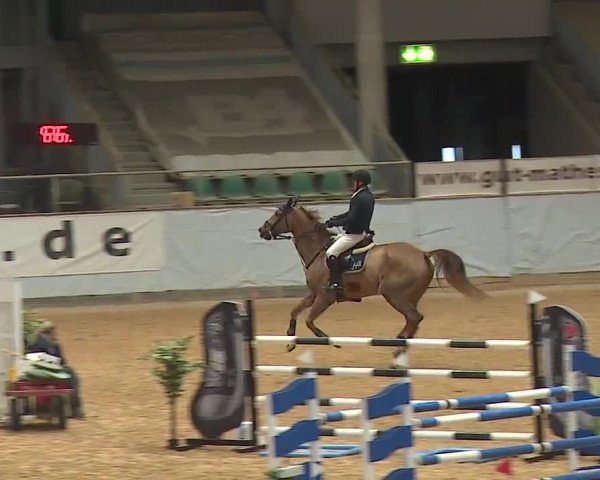 Reitturnier Kreuth 2023