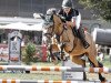 Springpferd Lolli de Luxe (Deutsches Reitpony, 2011, von FS Champion de Luxe)