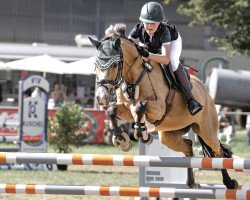 Springpferd Lolli de Luxe (Deutsches Reitpony, 2011, von FS Champion de Luxe)