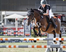 jumper Mirrio H (German Riding Pony, 2004, from Mentos)