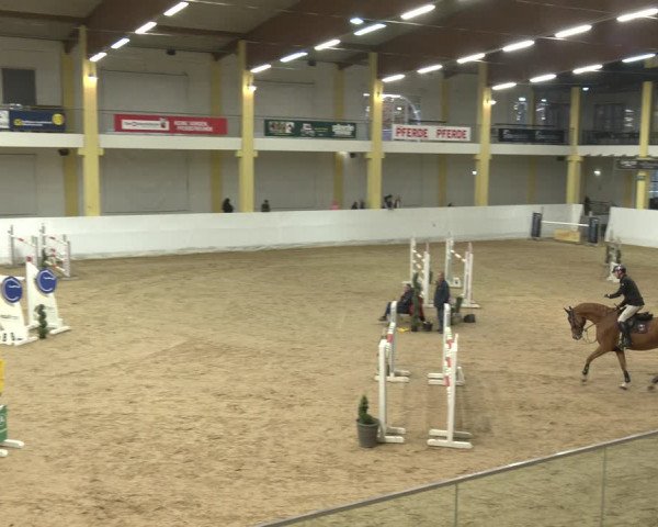Springturnier Stadl-Paura 2023