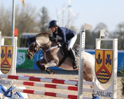 Springpferd Averleth Gareth (Welsh Pony (Sek.B), 2002, von Grisu N)