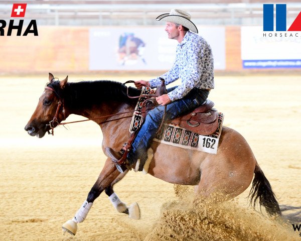 Pferd Lil Jolene Cash BB (Quarter Horse, 2019, von Lil Joe Cash)