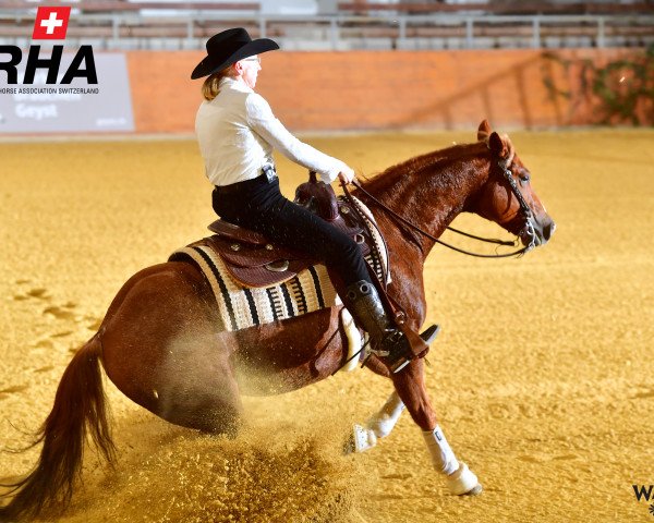 Pferd Whizasailinggump BB (Quarter Horse, 2015, von Whizasunnysailor BB)