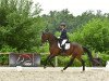 dressage horse Zaradina (Hanoverian, 2015, from Zack)