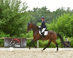 dressage horse Zaradina (Hanoverian, 2015, from Zack)