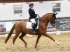 dressage horse Son Rousseau (Westphalian, 2009, from San Remo)