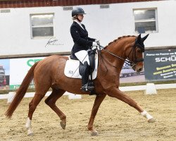 dressage horse Son Rousseau (Westphalian, 2009, from San Remo)