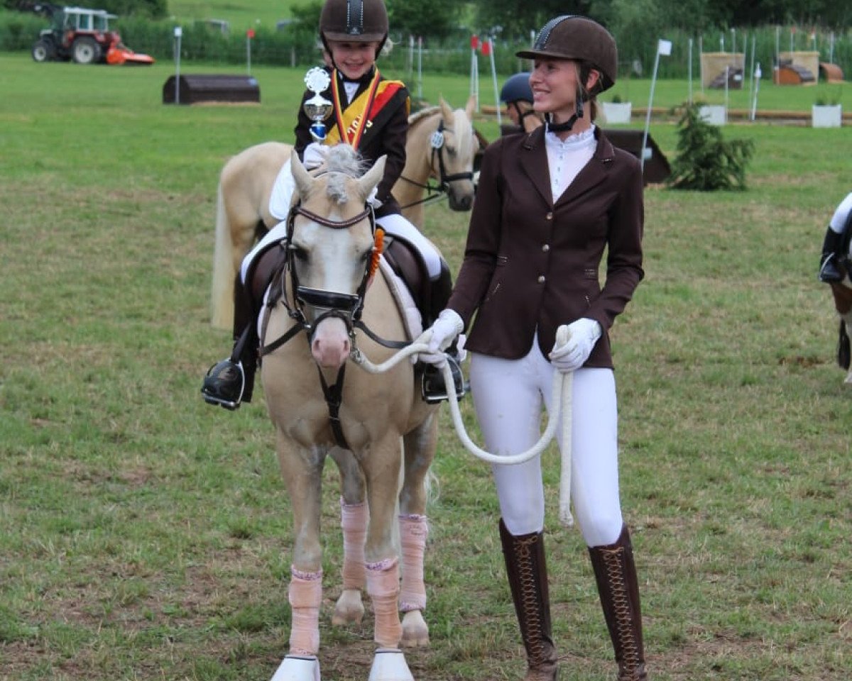 jumper BW's Golden Dancer (Welsh-Pony (Section B), 2014, from Nilantshoeve's Zippo)