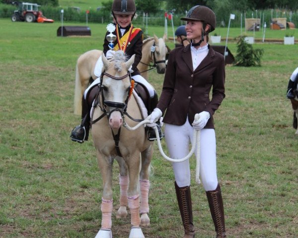 horse BW's Golden Dancer (Welsh-Pony (Section B), 2014, from Nilantshoeve's Zippo)