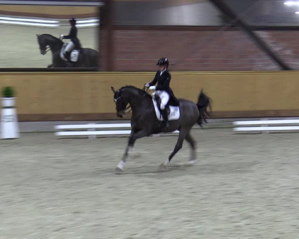 Reitturnier Hamburg-Friedrichshulde/Sylva Kuhrt 2023