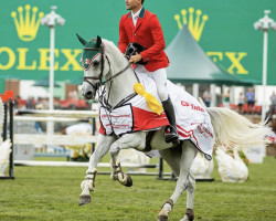 jumper Contago (Oldenburg show jumper, 2011, from Cornet Obolensky)