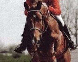 stallion Voltaire de Frely (Selle Français, 1987, from Double Espoir)