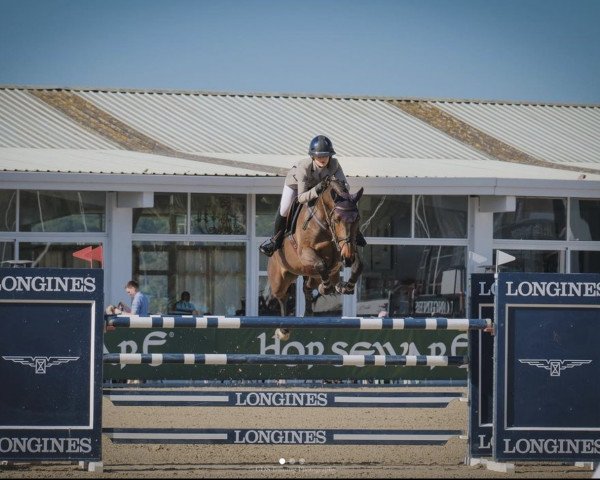 jumper Kalmerette (KWPN (Royal Dutch Sporthorse), 2015, from Cornet Obolensky)