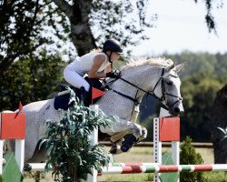 jumper Celli 9 (German Sport Horse, 2015, from Cellestial)