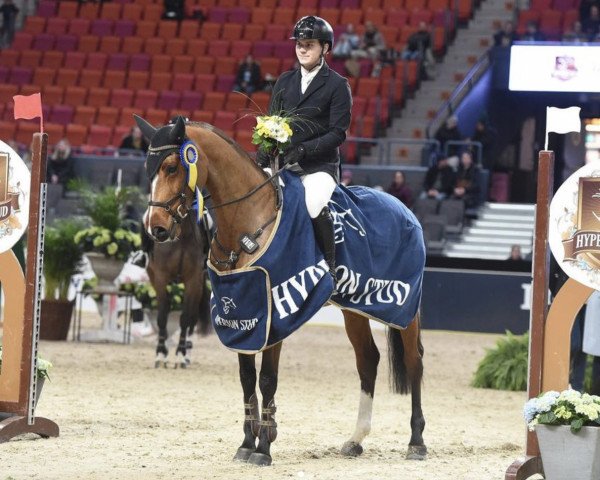 Springpferd Ada Race (Schwedisches Warmblut, 2018, von Magic Park)