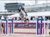 jumper Anna Olympia (Oldenburg, 2010, from Olympic Fire 5)