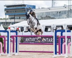 jumper Anna Olympia (Oldenburg, 2010, from Olympic Fire 5)