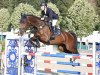 jumper Charly Chaplin Asl (German Sport Horse, 2017, from Chap II)