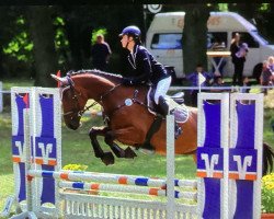 jumper Chichen Itza CH (Swiss Warmblood, 2015, from Felton VDL)