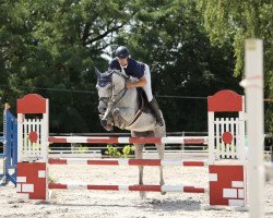 jumper Cloverleaf K (German Sport Horse, 2018, from K.i Checkter)