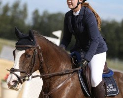 jumper Mary Lou 261 (German Riding Pony, 2008, from FS Mr. Mobility)