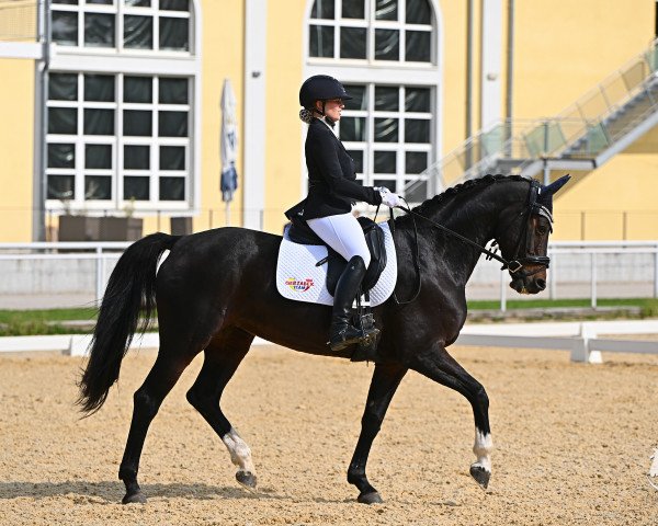 Laura - Sofia Aichhorn