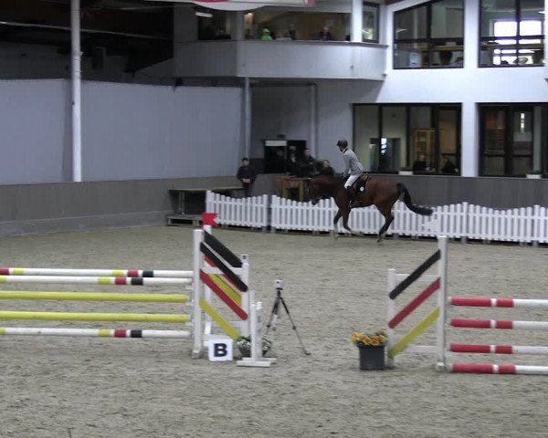 Reitturnier Münster-Handorf 2023