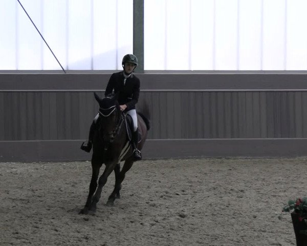 Reitturnier Münster-Handorf 2023
