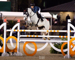 jumper Express Blue Gp du Bois Madame (Belgium Sporthorse, 2010, from Ultra Blue J)