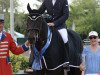 Springpferd Captain Caruso (Irish Sport Horse, 2006, von Captain Clover)