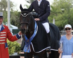 jumper Captain Caruso (Irish Sport Horse, 2006, from Captain Clover)