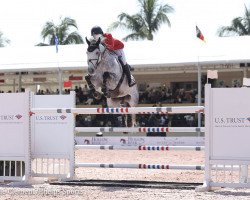 jumper Con Taggio (Oldenburg show jumper, 2009, from Contagio)