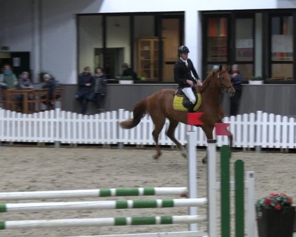 Reitturnier Münster-Handorf 2023