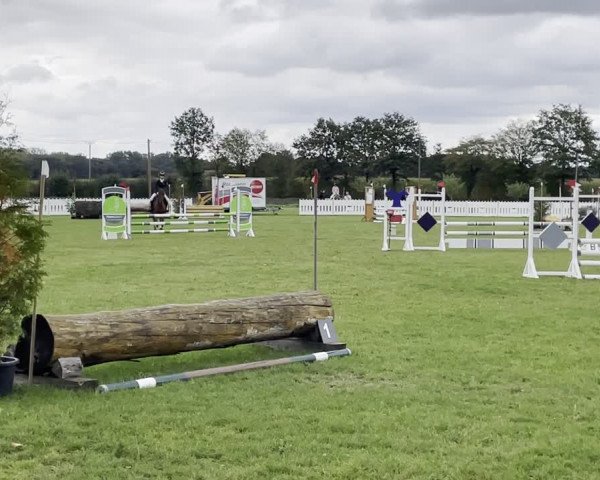 Video of Gerry 158