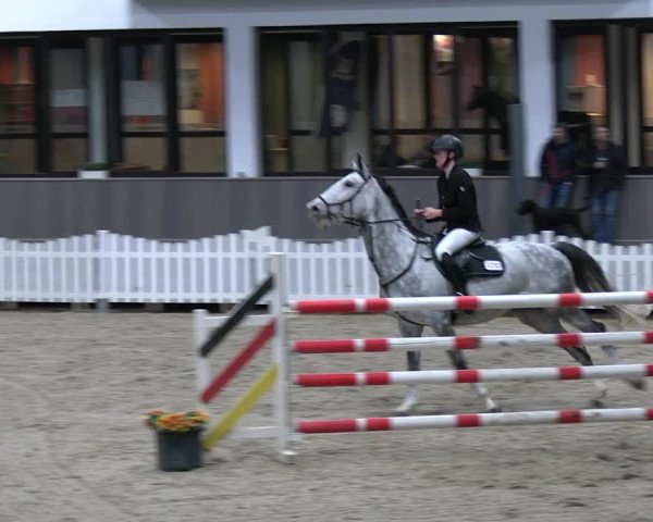 Reitturnier Münster-Handorf 2023