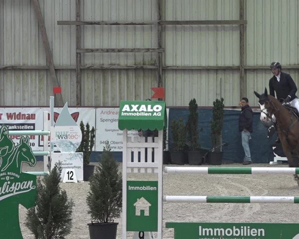 Reitturnier Oberriet 2023