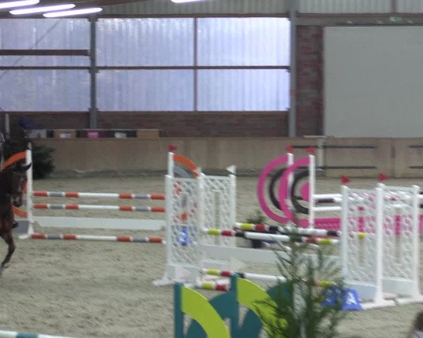 Reitturnier Heek-Nienborg 2023