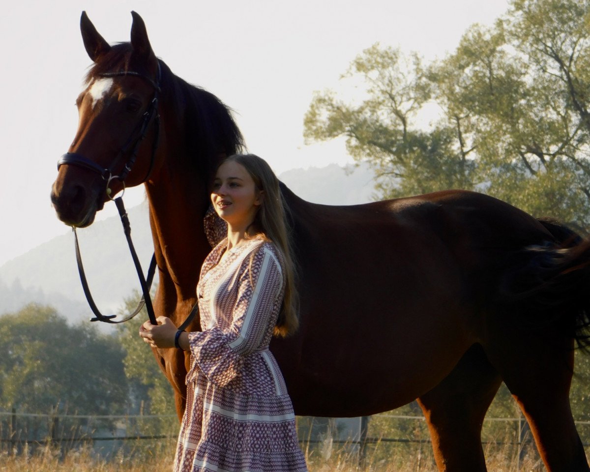 horse Patrice 20 (Württemberger, 2008, from Patriot 16)