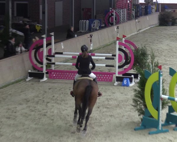 Reitturnier Heek-Nienborg 2023