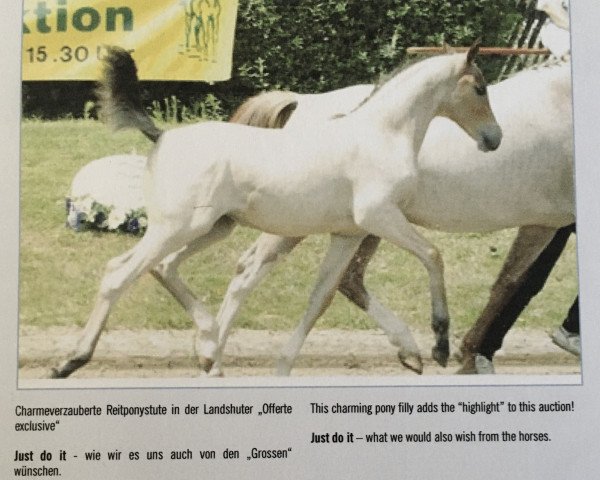 broodmare Schönweil's Just Do It (German Riding Pony, 2002, from Were Di's Aron)