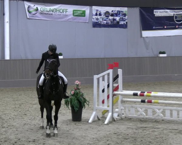 Reitturnier Münster-Handorf 2023